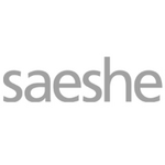 Usa Translations, Client Relations, Prestigious Clientele, Saeshe